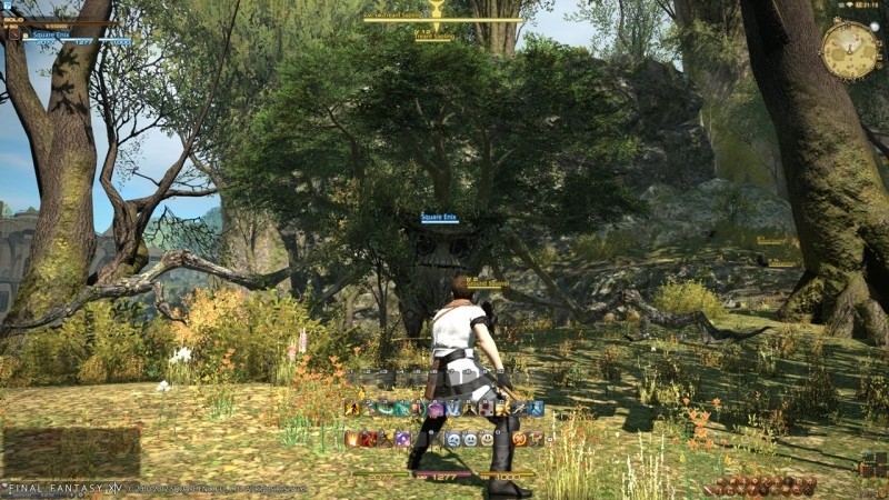 Final Fantasy XIV: A Realm Reborn (Edición Coleccionista) - Imagen 21